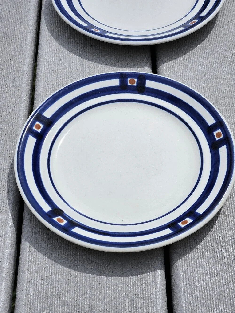 Mikasa White Plates with Navy Rings and Rust Accents